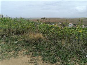 400 m² Land available in Belvedere
