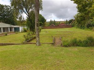 1115 m² Land available in Graskop