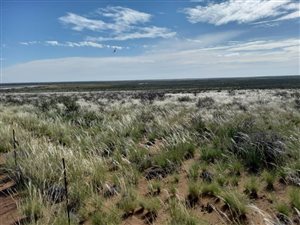 11361 ha Farm in Brandvlei