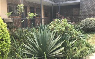 1 Bedroom Apartment in Bramley