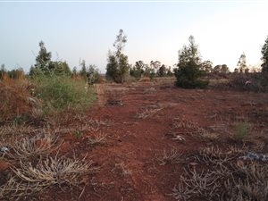 8.1 ha Farm in Valley Settlements AH