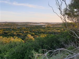 5 ha Farm in St Francis Bay