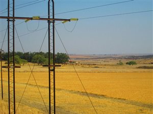 826 ha Farm in Dullstroom
