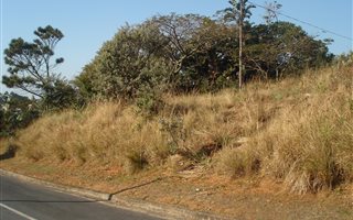1374 m² Land available in Hibberdene