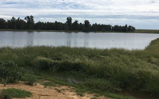 2457.6 ha Farmland in Kroonstad
