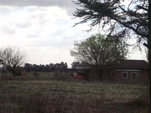 8.5 ha Farm in Wilgeboom AH