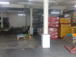 355 m² Commercial space in Bluff