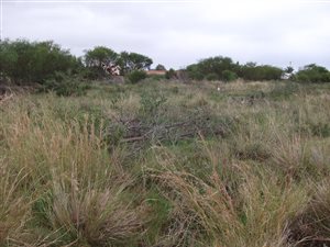 3955 m² Land available in Jeffreys Bay