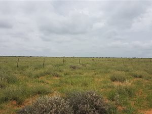 5973 ha Farm in Kuruman