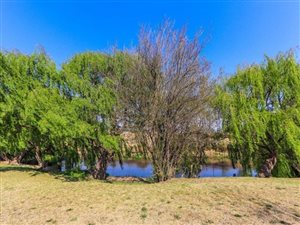 2 Bed Cluster in Kookrus