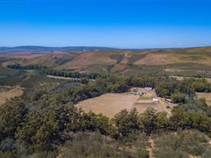 503 ha Farm in Mossel Bay Central