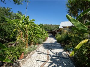 21700 ha Smallholding in Plettenberg Bay