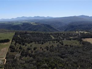 50 ha Land available in Simola