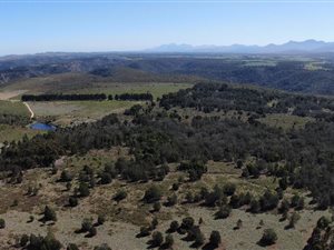 50 ha Land available in Simola
