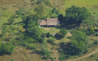 220 ha Farm in Wartburg