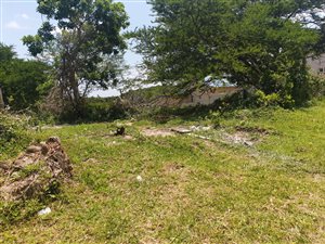 1260 m² Land available in Meerensee