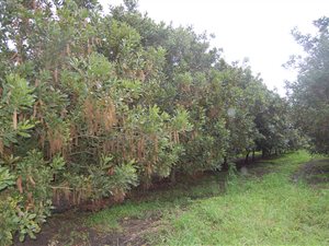 217 ha Farm in Port Edward