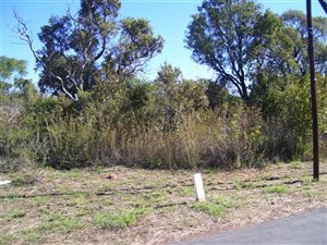 4 ha Land available in Montana