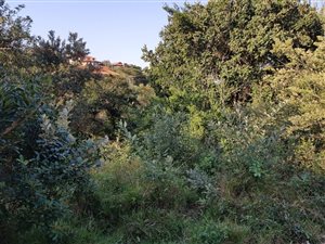 1564 m² Land available in Zimbali Coastal Resort
