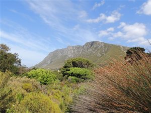 1178 m² Land available in Bettys Bay