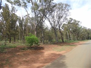 2 ha Land available in Walkers Fruit Farms