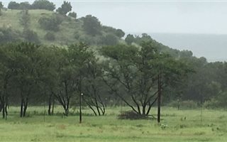 111 ha Farmland in Kroonstad