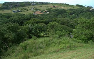 1169 m² Land available in Sheffield Beach