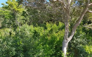 582 m² Land available in Glentana