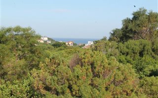 997 m² Land available in Forest Downs