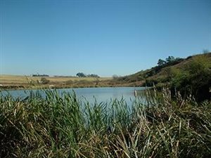 21 ha Farm in Camperdown