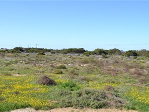 631 m² Land available in Golden Mile