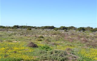 631 m² Land available in Golden Mile