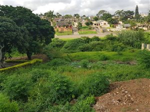 814 m² Land available in Metcalfe Park