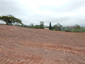 7.3 ha Land available in Hammarsdale