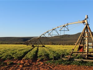 1675 ha Farm in Clanwilliam