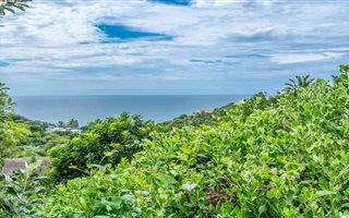 838 m² Land available in Sheffield Beach
