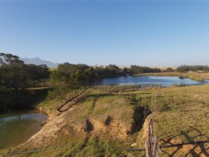 42 ha Land available in George Rural