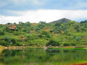 111 ha Farm in Dullstroom
