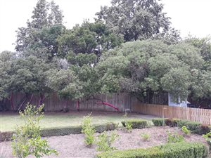 4047 m² Land available in Great Brak River