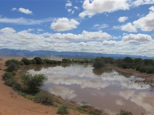 472 ha Farm in Calitzdorp