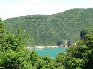 1118 m² Land available in The Heads