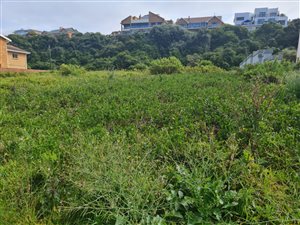 1124 m² Land available in Outeniqua Strand