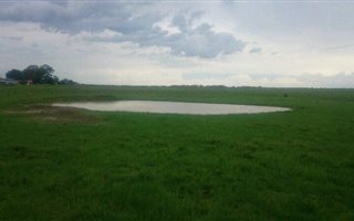 464 ha Farmland in Heilbron