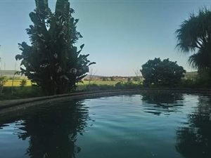 7.9 ha Smallholding in Wartburg