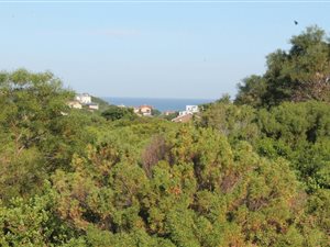 754 m² Land available in Forest Downs