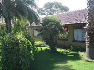 3 Bed House in Sunset Park