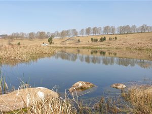 25.5 ha Farm in Dargle