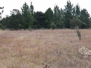 8600 m² Farm in Zwavelpoort