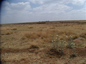 2.5 ha Land available in Withok Estates