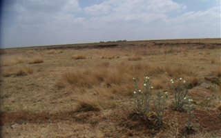 2.5 ha Land available in Withok Estates